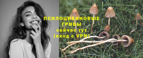 меф Киреевск