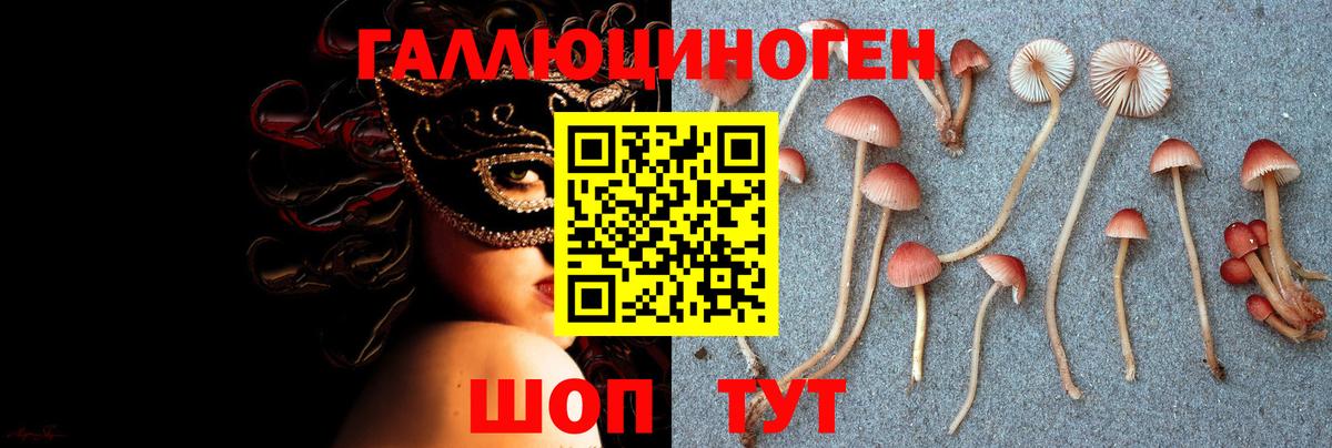 Галлюциногенные грибы Psilocybe Первоуральск